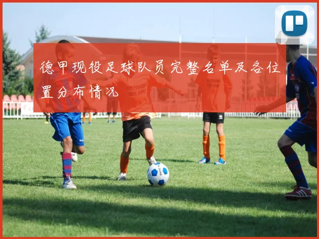 德甲现役足球队员完整名单及各位置分布情况