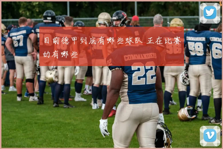 目前德甲到底有哪些球队 正在比赛的有哪些