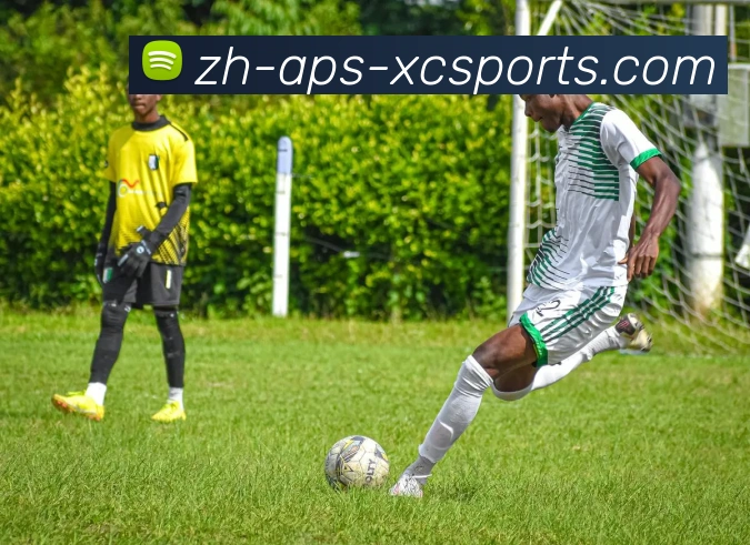 杏彩体育平台生态图