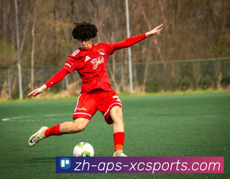 杏彩体育APP 封面图